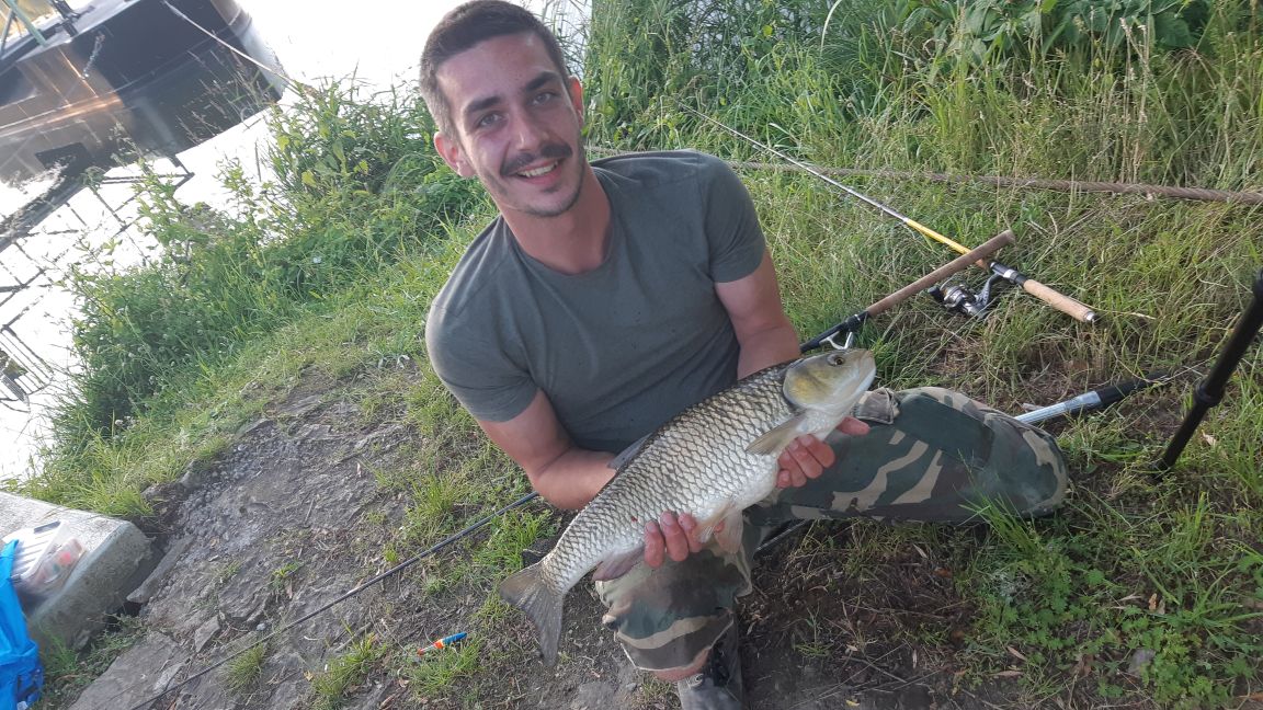 2er Döbel 64cm