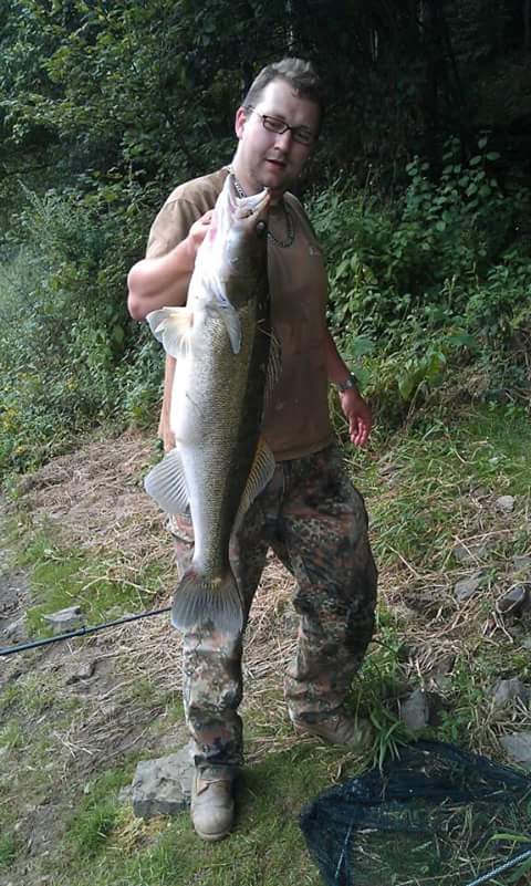 90er Zander